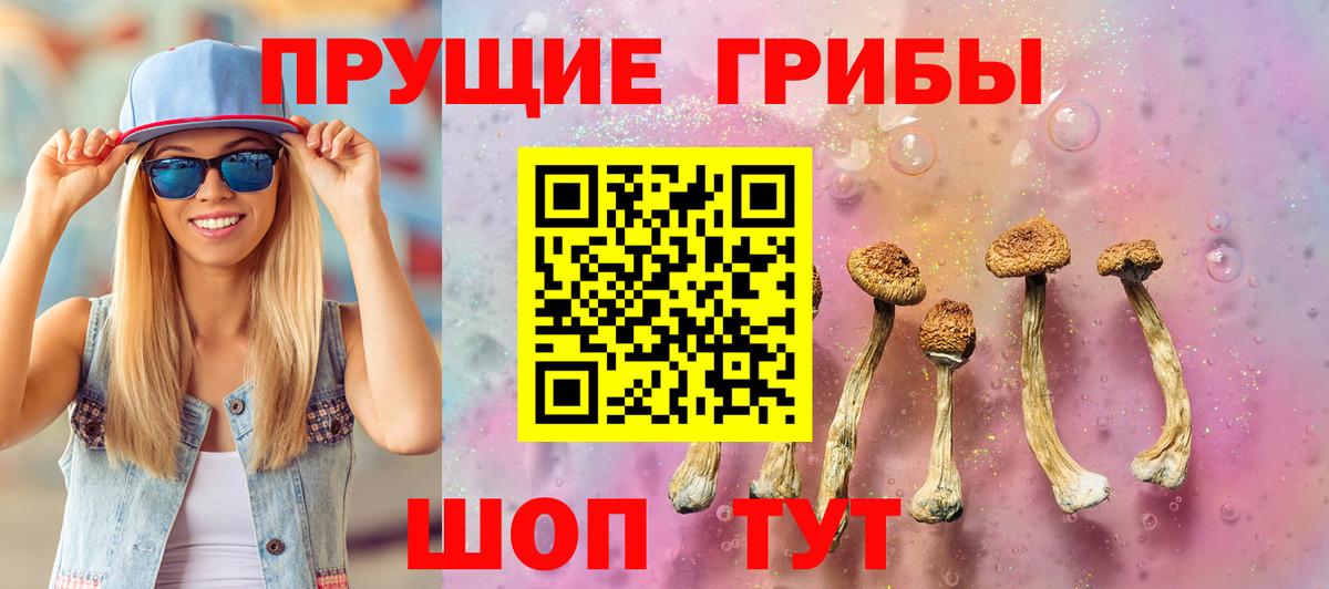 Галлюциногенные грибы мухоморы  Псилоцибиновые грибы Psilocybe  Вход с VPN  Ахтубинск 