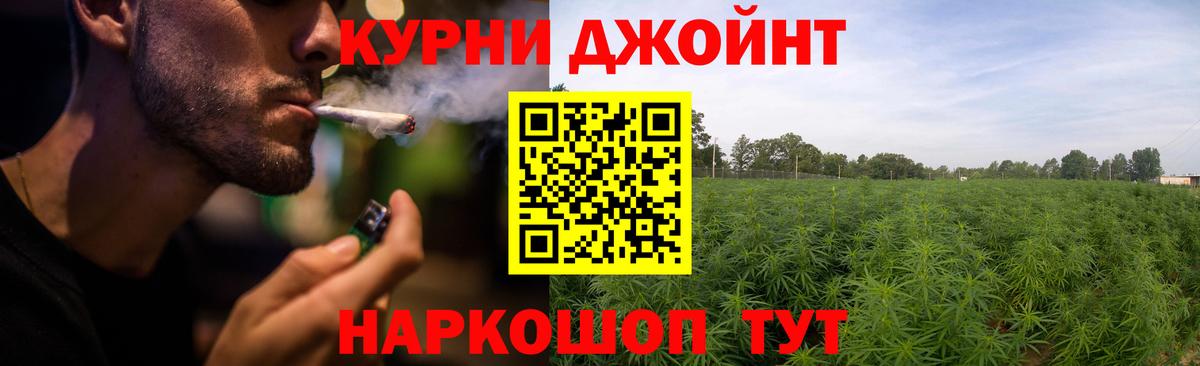 Ахтубинск  МАРИХУАНА сатива  Вход с VPN  Каннабис конопля 